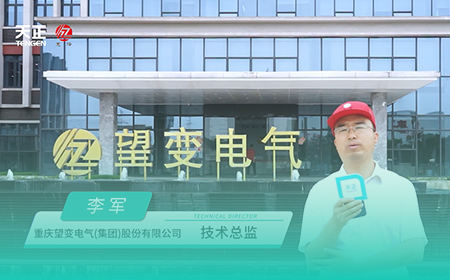 凯发天生一触即发(中国区)官方网站x望变电气